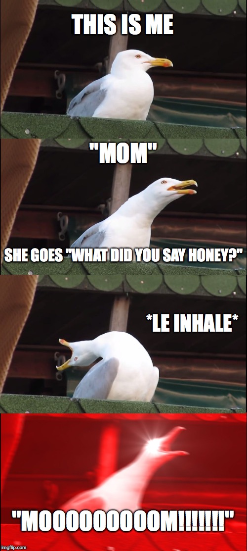 Inhaling Seagull | THIS IS ME; "MOM"; SHE GOES "WHAT DID YOU SAY HONEY?"; *LE INHALE*; "MOOOOOOOOOM!!!!!!!" | image tagged in memes,inhaling seagull | made w/ Imgflip meme maker