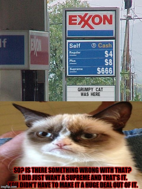 Grumpy Cat was here | SO? IS THERE SOMETHING WRONG WITH THAT? I DID JUST WANT A SUPREME AND THAT'S IT. YOU DIDN'T HAVE TO MAKE IT A HUGE DEAL OUT OF IT. | image tagged in gas station,grumpy cat | made w/ Imgflip meme maker