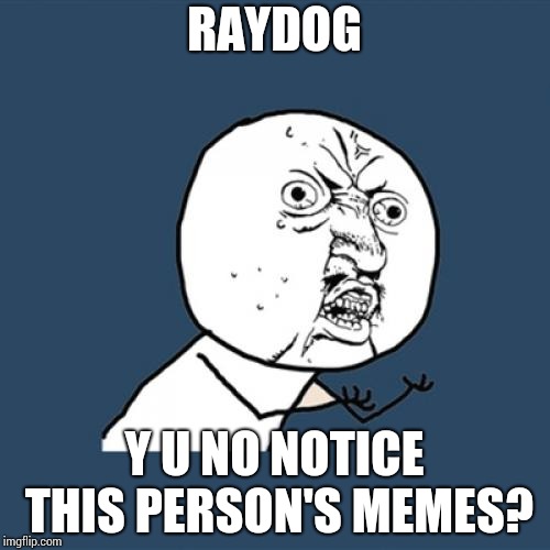 Y U No Meme | RAYDOG Y U NO NOTICE THIS PERSON'S MEMES? | image tagged in memes,y u no | made w/ Imgflip meme maker