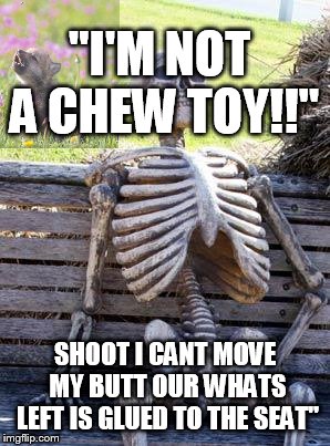 Waiting Skeleton Meme | "I'M NOT A CHEW TOY!!"; SHOOT I CANT MOVE MY BUTT OUR WHATS LEFT IS GLUED TO THE SEAT" | image tagged in memes,waiting skeleton | made w/ Imgflip meme maker