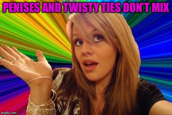 Dumb Blonde Meme | P**ISES AND TWISTY TIES DON’T MIX | image tagged in memes,dumb blonde | made w/ Imgflip meme maker