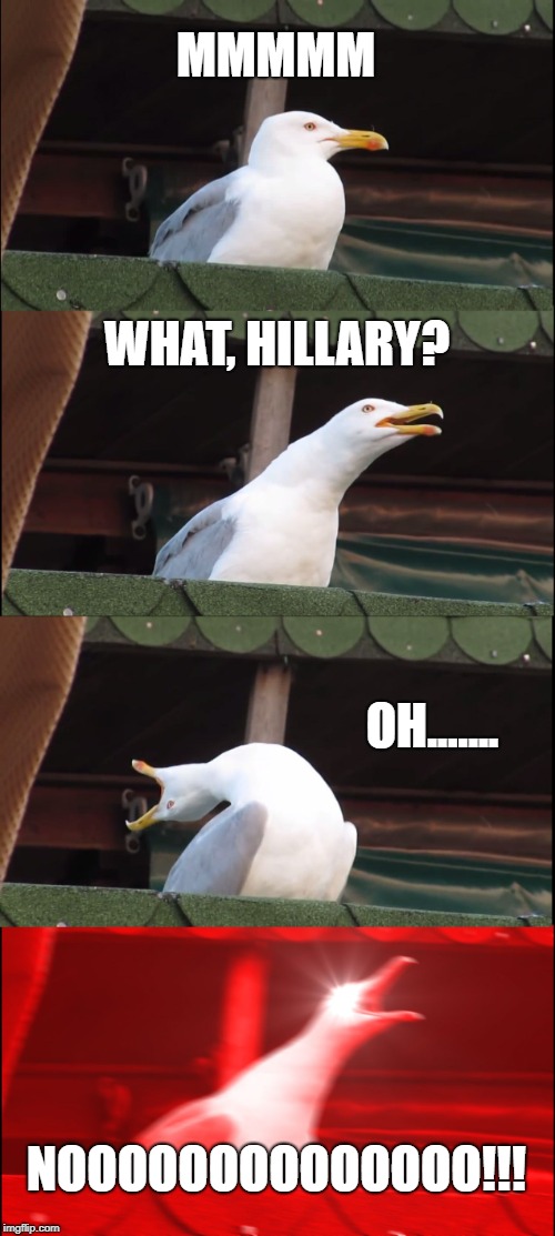 Inhaling Seagull | MMMMM; WHAT, HILLARY? OH....... NOOOOOOOOOOOOOO!!! | image tagged in memes,inhaling seagull | made w/ Imgflip meme maker