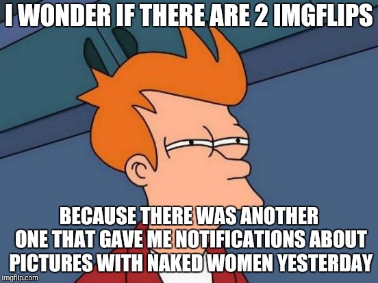 And yes, it's true! | I WONDER IF THERE ARE 2 IMGFLIPS; BECAUSE THERE WAS ANOTHER ONE THAT GAVE ME NOTIFICATIONS ABOUT PICTURES WITH NAKED WOMEN YESTERDAY | image tagged in memes,futurama fry,naked woman | made w/ Imgflip meme maker
