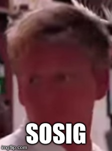 SOSIG | image tagged in chef gordon ramsay | made w/ Imgflip meme maker