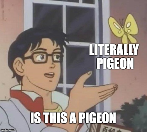 Is This A Pigeon | LITERALLY PIGEON; IS THIS A PIGEON | image tagged in memes,is this a pigeon | made w/ Imgflip meme maker