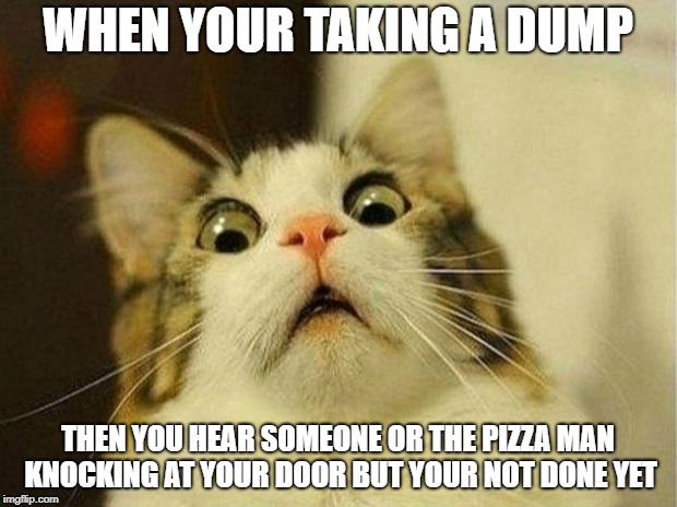 Scared Cat | WHEN YOUR TAKING A DUMP; THEN YOU HEAR SOMEONE OR THE PIZZA MAN KNOCKING AT YOUR DOOR BUT YOUR NOT DONE YET | image tagged in memes,scared cat | made w/ Imgflip meme maker