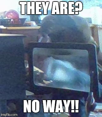 THEY ARE? NO WAY!! | image tagged in man distracted by fireplace | made w/ Imgflip meme maker