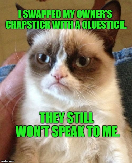 That'll shut them up. Until it wears off... | I SWAPPED MY OWNER'S CHAPSTICK WITH A GLUESTICK. THEY STILL WON'T SPEAK TO ME. | image tagged in memes,grumpy cat,cats,funny,animals | made w/ Imgflip meme maker