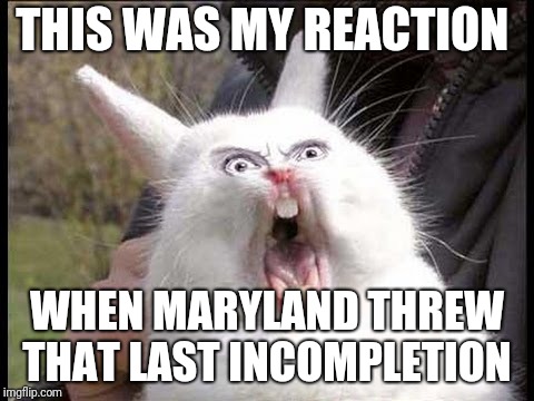 Memes | THIS WAS MY REACTION; WHEN MARYLAND THREW THAT LAST INCOMPLETION | image tagged in grumpy cat | made w/ Imgflip meme maker