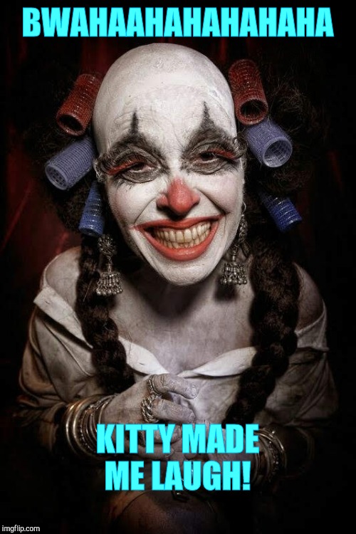 BWAHAAHAHAHAHAHA KITTY MADE ME LAUGH! | made w/ Imgflip meme maker