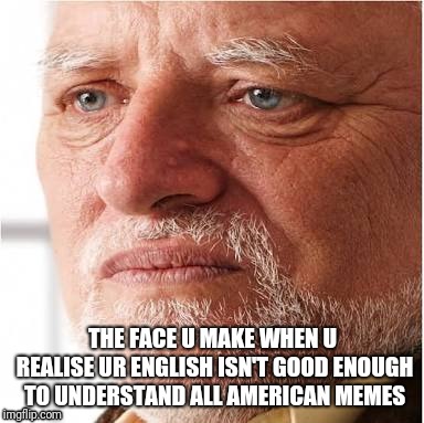 Harold can't hide his pain anymore | THE FACE U MAKE WHEN U REALISE UR ENGLISH ISN'T GOOD ENOUGH TO UNDERSTAND ALL AMERICAN MEMES | image tagged in harold sad,english,memes | made w/ Imgflip meme maker