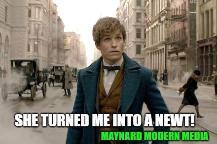 Fantastic Beasts Timesheet Meme | SHE TURNED ME INTO A NEWT! MAYNARD MODERN MEDIA | image tagged in fantastic beasts timesheet meme | made w/ Imgflip meme maker