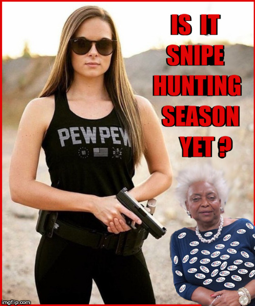 SNIPE Hunt ? | image tagged in brenda snipes,election fraud,current events,politics lol,funny memes,too funny | made w/ Imgflip meme maker