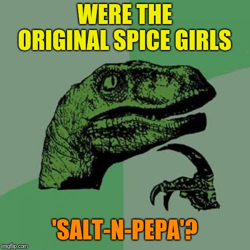 80's kids will get this | WERE THE ORIGINAL SPICE GIRLS; 'SALT-N-PEPA'? | image tagged in memes,philosoraptor,spice girls,funny memes,funny,what if | made w/ Imgflip meme maker
