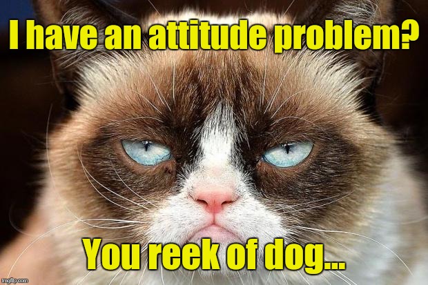 Grumpy Cat Not Amused | I have an attitude problem? You reek of dog... | image tagged in memes,grumpy cat not amused,grumpy cat | made w/ Imgflip meme maker
