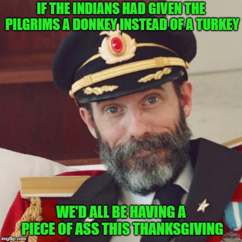 Something to be thankful for? | IF THE INDIANS HAD GIVEN THE PILGRIMS A DONKEY INSTEAD OF A TURKEY; WE'D ALL BE HAVING A PIECE OF ASS THIS THANKSGIVING | image tagged in captain obvious,memes,indians,funny,pilgrims,thanksgiving | made w/ Imgflip meme maker