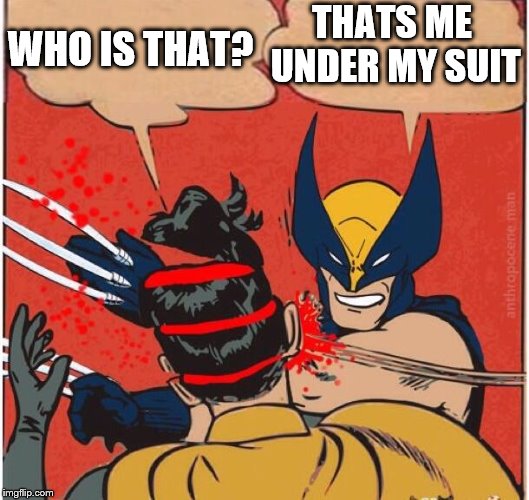 Wolverines kills robin | WHO IS THAT? THATS ME UNDER MY SUIT | image tagged in wolverines kills robin | made w/ Imgflip meme maker