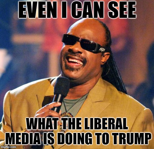 They All Want Him Impeached | EVEN I CAN SEE; WHAT THE LIBERAL MEDIA IS DOING TO TRUMP | image tagged in stevie wonder solar eclipse,trump,mainstream media,liberals | made w/ Imgflip meme maker