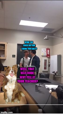 I'm telling you, that guy is a jerk. He literally threatened his teacher. | WHO THE FUCK DO YOU THINK YOU ARE?! WELL, THAT WAS RUDE. WHY YELL AT YOUR TEACHER? | image tagged in spoiled brat yelling at his teacher,chili the border collie,threats,who the fuck do you think you are | made w/ Imgflip meme maker