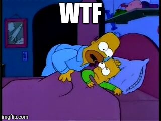 Homer Simpson I don't mean to alarm you | WTF | image tagged in homer simpson i don't mean to alarm you | made w/ Imgflip meme maker