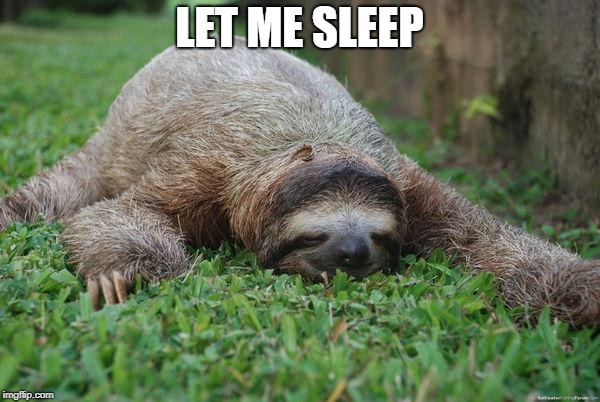 Sleeping sloth | LET ME SLEEP | image tagged in sleeping sloth | made w/ Imgflip meme maker