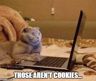 Do you see what I see? | THOSE AREN'T COOKIES... | image tagged in funny cats | made w/ Imgflip meme maker