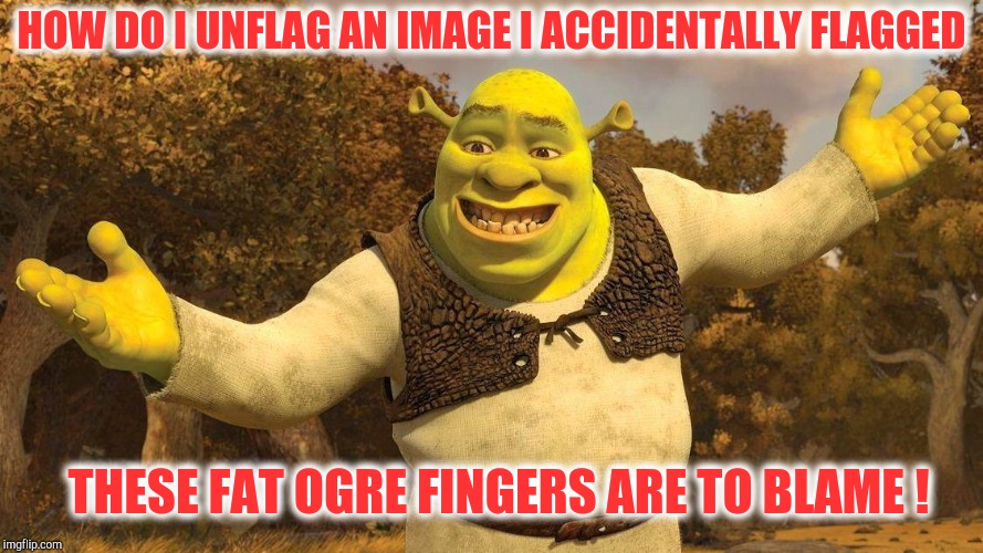 Help me undo this thing I have done ! | HOW DO I UNFLAG AN IMAGE I ACCIDENTALLY FLAGGED; THESE FAT OGRE FINGERS ARE TO BLAME ! | image tagged in shrek,help,imgflip,flag | made w/ Imgflip meme maker