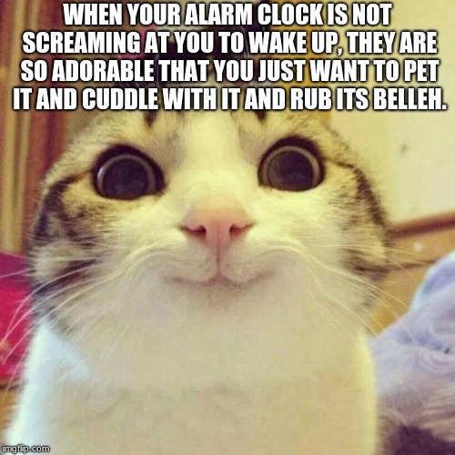 Smiling Cat | WHEN YOUR ALARM CLOCK IS NOT SCREAMING AT YOU TO WAKE UP, THEY ARE SO ADORABLE THAT YOU JUST WANT TO PET IT AND CUDDLE WITH IT AND RUB ITS BELLEH. | image tagged in memes,smiling cat | made w/ Imgflip meme maker