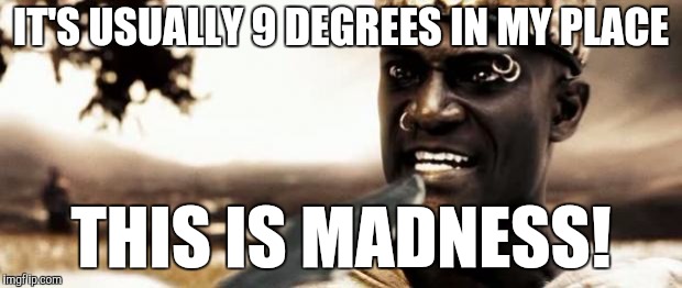 This is madness! | IT'S USUALLY 9 DEGREES IN MY PLACE THIS IS MADNESS! | image tagged in this is madness | made w/ Imgflip meme maker