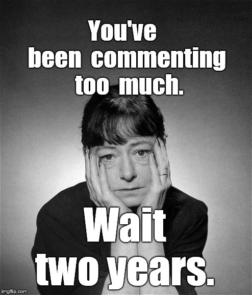 Dorothy Parker | You've  been  commenting  too  much. Wait two years. | image tagged in dorothy parker | made w/ Imgflip meme maker
