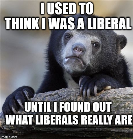 Confession Bear Meme | I USED TO THINK I WAS A LIBERAL; UNTIL I FOUND OUT WHAT LIBERALS REALLY ARE | image tagged in memes,confession bear | made w/ Imgflip meme maker