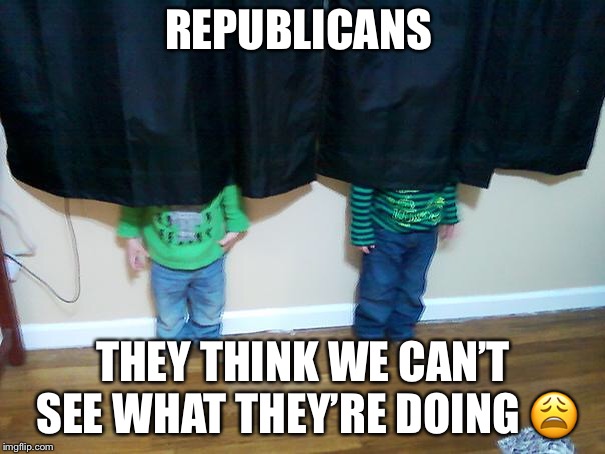 hide and seek | REPUBLICANS; THEY THINK WE CAN’T SEE WHAT THEY’RE DOING 😩 | image tagged in hide and seek | made w/ Imgflip meme maker