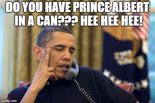 No I Can't Obama | DO YOU HAVE PRINCE ALBERT IN A CAN??? HEE HEE HEE! | image tagged in memes,no i cant obama | made w/ Imgflip meme maker
