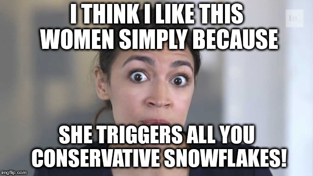 I know you find smart women intimidating... | I THINK I LIKE THIS WOMEN SIMPLY BECAUSE; SHE TRIGGERS ALL YOU CONSERVATIVE SNOWFLAKES! | image tagged in alexandria ocasio-cortez,humor,intelligent women,conservative snowflakes,triggered,republicans | made w/ Imgflip meme maker