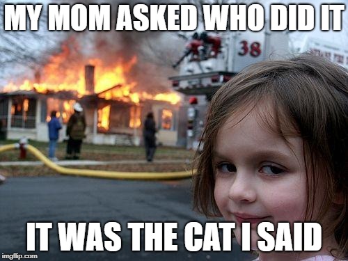 Disaster Girl | MY MOM ASKED WHO DID IT; IT WAS THE CAT I SAID | image tagged in memes,disaster girl | made w/ Imgflip meme maker