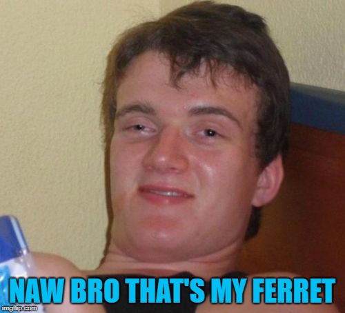 10 Guy Meme | NAW BRO THAT'S MY FERRET | image tagged in memes,10 guy | made w/ Imgflip meme maker