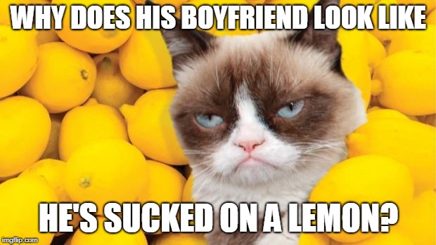 Grumpy Cat lemons | WHY DOES HIS BOYFRIEND LOOK LIKE HE'S SUCKED ON A LEMON? | image tagged in grumpy cat lemons | made w/ Imgflip meme maker