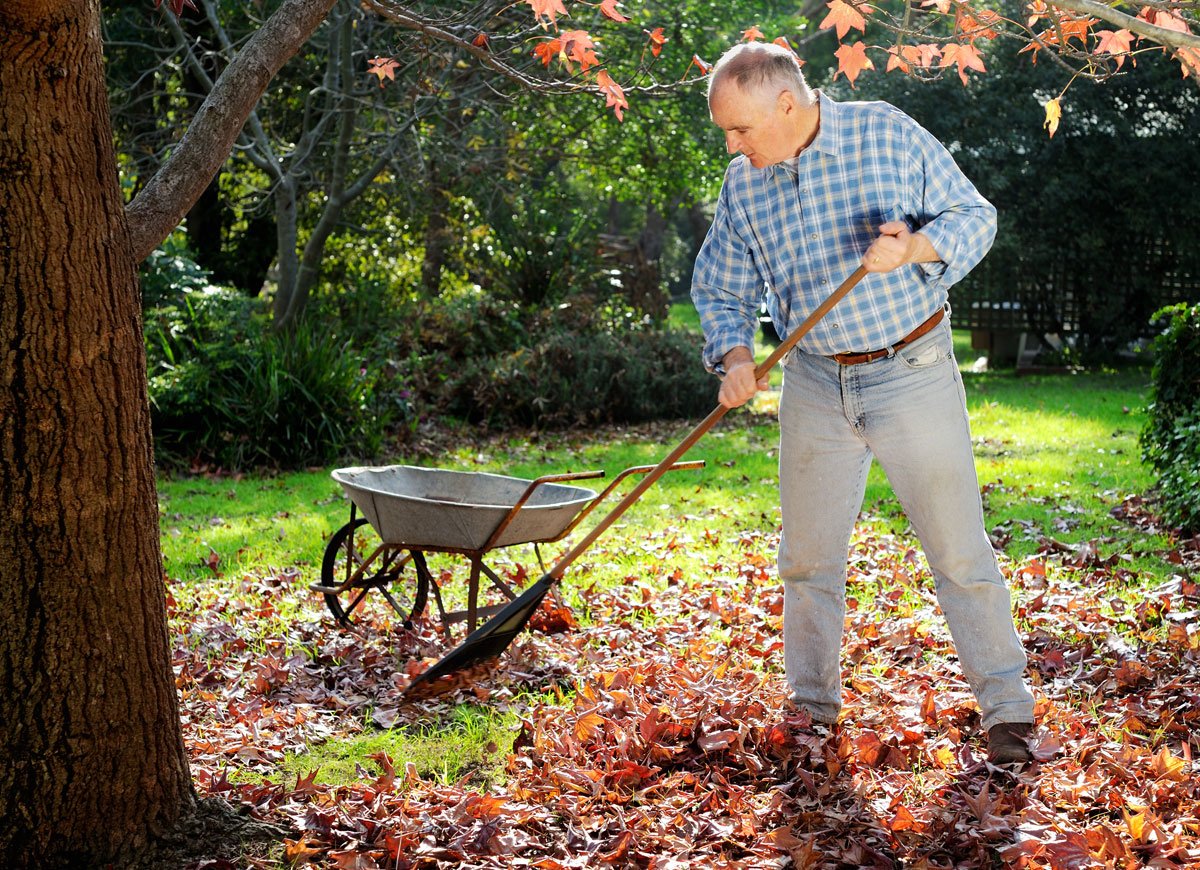 Man Raking Blank Meme Template