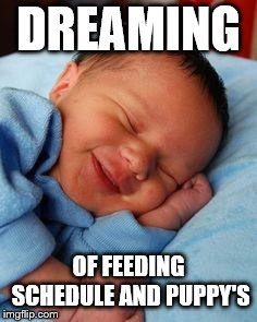 dreaming | DREAMING; OF FEEDING SCHEDULE AND PUPPY'S | image tagged in sleeping baby laughing,baby,funny,baby faces | made w/ Imgflip meme maker