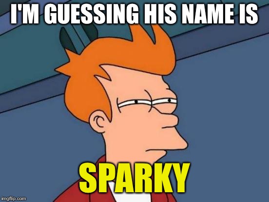 Futurama Fry Meme | I'M GUESSING HIS NAME IS SPARKY | image tagged in memes,futurama fry | made w/ Imgflip meme maker