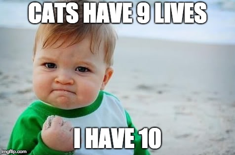 Determination meme | CATS HAVE 9 LIVES; I HAVE 10 | image tagged in determination meme | made w/ Imgflip meme maker
