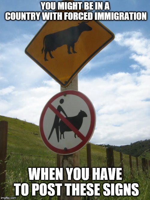 signs | YOU MIGHT BE IN A COUNTRY WITH FORCED IMMIGRATION; WHEN YOU HAVE TO POST THESE SIGNS | image tagged in immigration | made w/ Imgflip meme maker