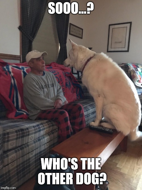 SOOO...? WHO'S THE OTHER DOG? | made w/ Imgflip meme maker