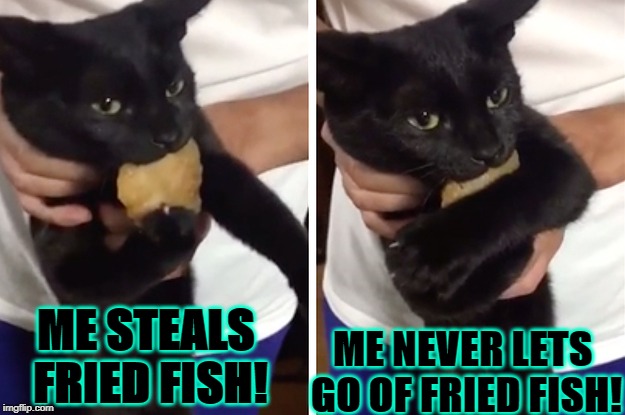 ME NEVER LETS GO OF FRIED FISH! ME STEALS FRIED FISH! | image tagged in i steals | made w/ Imgflip meme maker