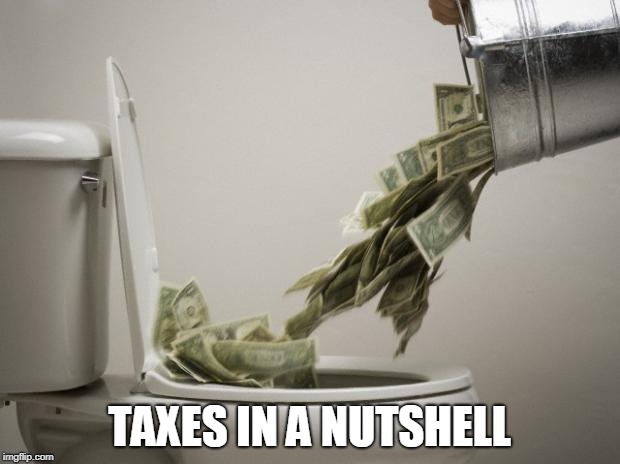 money down toilet | TAXES IN A NUTSHELL | image tagged in money down toilet,tax,taxes,money,bill,bills | made w/ Imgflip meme maker