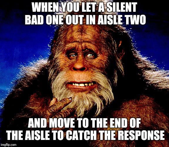 Bigfoot2 | WHEN YOU LET A SILENT BAD ONE OUT IN AISLE TWO; AND MOVE TO THE END OF THE AISLE TO CATCH THE RESPONSE | image tagged in bigfoot2 | made w/ Imgflip meme maker
