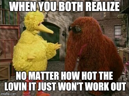 Big Bird And Snuffy |  WHEN YOU BOTH REALIZE; NO MATTER HOW HOT THE LOVIN IT JUST WON'T WORK OUT | image tagged in memes,big bird and snuffy | made w/ Imgflip meme maker