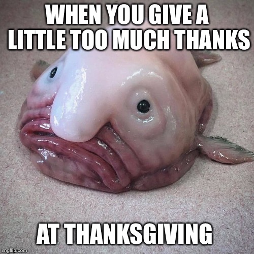 WHEN YOU GIVE A LITTLE TOO MUCH THANKS; AT THANKSGIVING | image tagged in blobfish | made w/ Imgflip meme maker