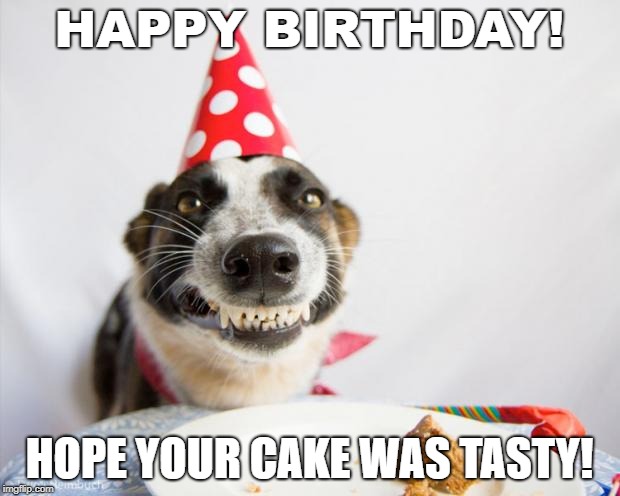 birthday dog | HAPPY BIRTHDAY! HOPE YOUR CAKE WAS TASTY! | image tagged in birthday dog | made w/ Imgflip meme maker