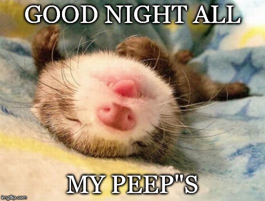 good night all my peep's | GOOD NIGHT ALL; MY PEEP"S | image tagged in good night,good night all,funny,cute,pet | made w/ Imgflip meme maker